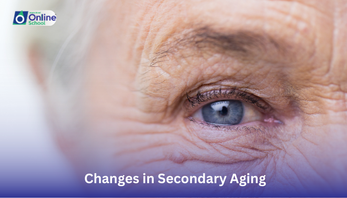 Lesson 28: Changes in Secondary Aging